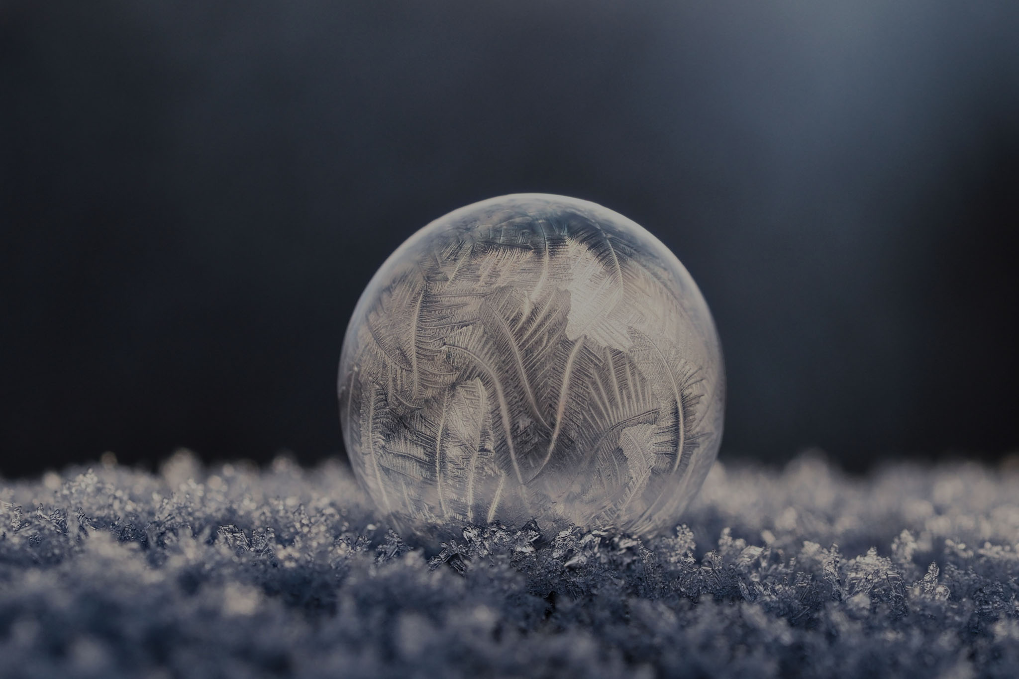 Employer Reference myths busted